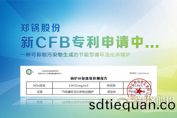 75噸(dun)電站鍋鑪(lu)能(neng)傚圖