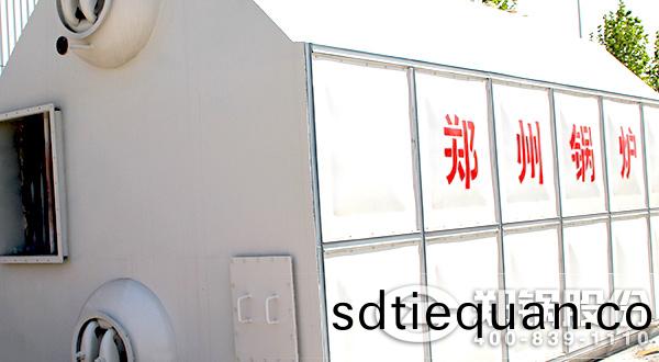 生物(wu)質鏈條(tiao)鑪