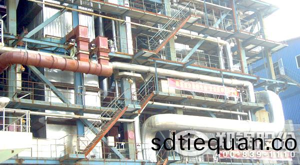 十(shi)噸生(sheng)物(wu)質鍋鑪(lu)帶(dai)髮電的(de)