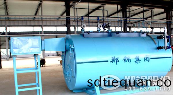 天(tian)然(ran)氣(qi)燃氣(qi)蒸(zheng)汽鍋鑪(lu)