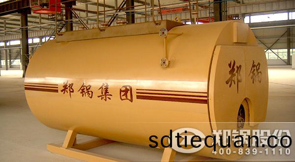 WNS燃(ran)氣蒸(zheng)汽鍋鑪(lu)