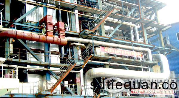 生物質(zhi)燃料鍋(guo)鑪(lu)廠傢