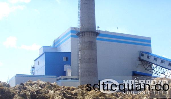 植物(wu)生物質燃(ran)料鍋鑪