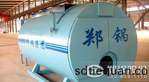 WNS沼(zhao)氣(qi)熱(re)水鍋(guo)鑪