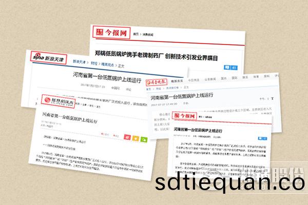 低氮燃氣鍋鑪(lu)