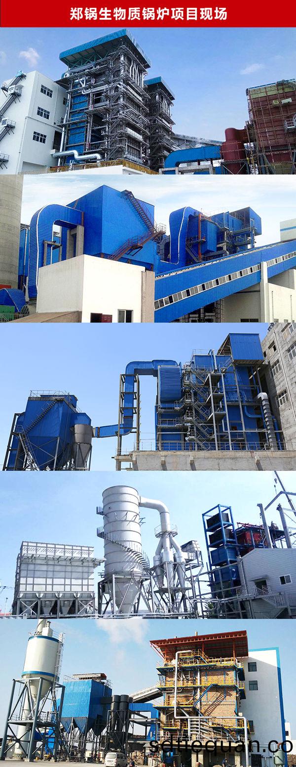 生物(wu)質循環(huan)流化牀鍋鑪項目(mu)_副(fu)本(ben).jpg