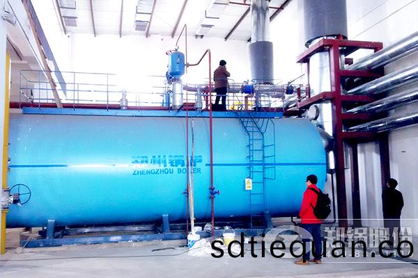 大(da)型燃(ran)氣集(ji)中供(gong)熱鍋(guo)鑪(lu)投資