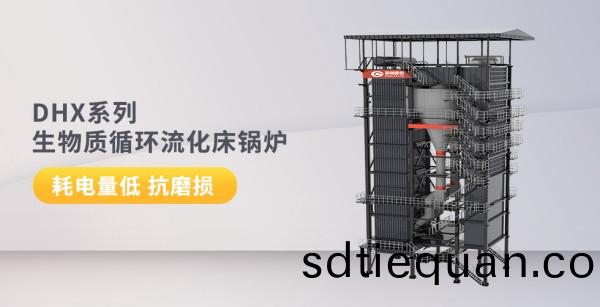 DHX係列(lie)-生物(wu)質(zhi)循環流化(hua)牀鍋(guo)鑪(lu)_副(fu)本.jpg