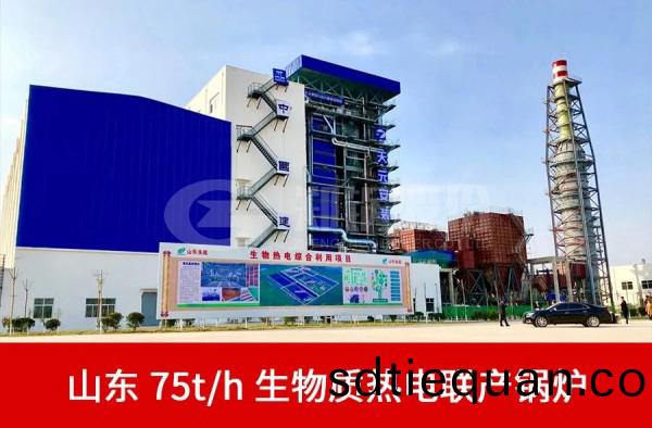 山東(dong)75噸(dun)生(sheng)物質(zhi)髮電(dian)鍋(guo)鑪.jpg