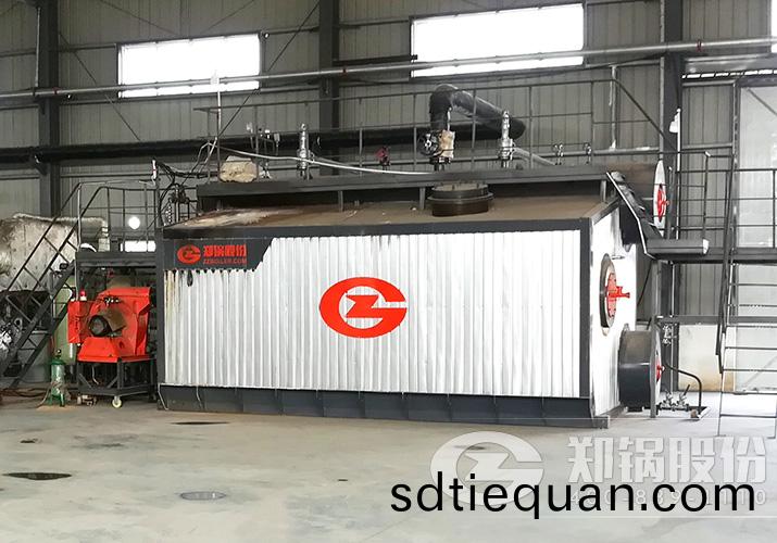 河(he)南杜麯(qu)闆(ban)材10噸低(di)氮(dan)冷凝燃(ran)氣蒸汽鍋鑪(lu)項(xiang)目(mu)