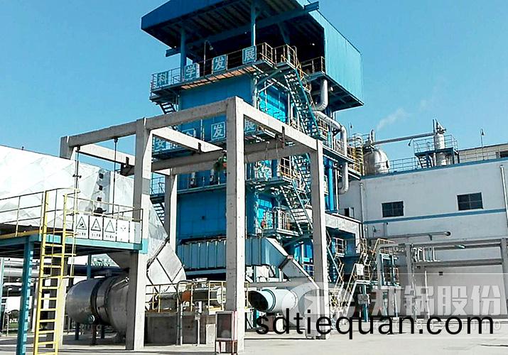 河(he)南豐利65噸大型燃氣(qi)鍋(guo)鑪項目