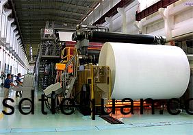 造(zao)紙廠(chang)