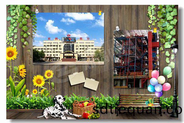 低壓(ya)蒸汽(qi)鍋(guo)鑪(lu)300kg·小(xiao)時