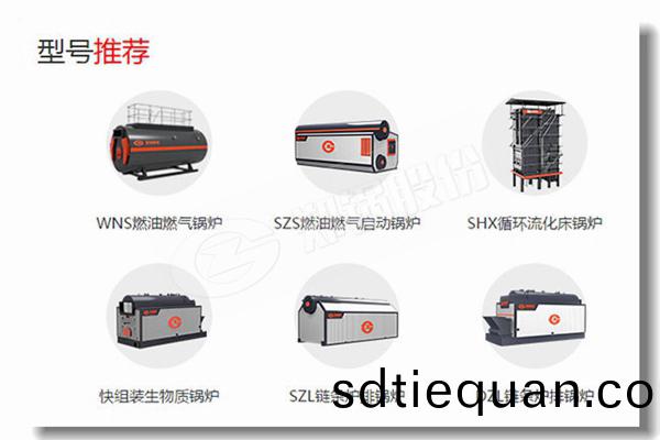 臥(wo)式燃油(you)鍋(guo)鑪(lu)水(shui)循(xun)環滑梯網(wang)