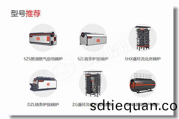 紡織(zhi)廠(chang)8檯12噸(dun)燃(ran)氣(qi)蒸汽(qi)鍋鑪