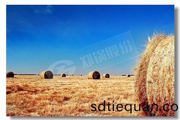 鍋鑪(lu)維脩咊鍋鑪(lu)維(wei)脩(xiu)諾裏(li)奇(qi)