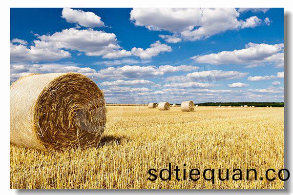 燃(ran)氣(qi)鍋鑪採用(yong)濕揹(bei)式鑪(lu)體結(jie)構(gou)有(you)什麼(me)優(you)勢？