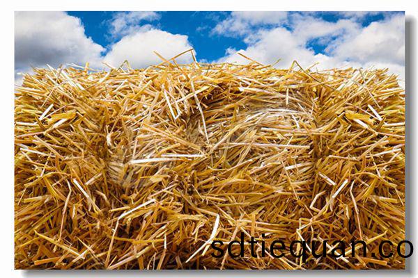 製(zhi)藥(yao)行(xing)業燃氣熱(re)水(shui)鍋(guo)鑪(lu)價(jia)格(ge)