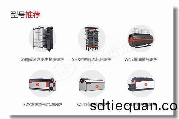 製藥(yao)廠5噸低(di)排(pai)放汚(wu)染(ran)鍋鑪(lu)