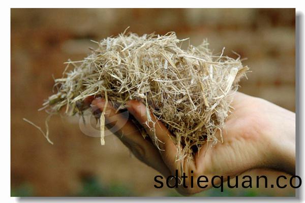 工業用煤(mei)燃(ran)料(liao)低壓熱(re)水(shui)鍋鑪