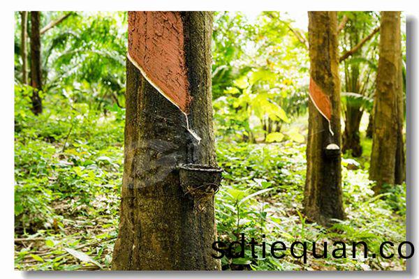 生(sheng)物(wu)質顆粒鍋(guo)鑪(lu)多少錢(qian)？