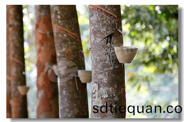 具(ju)有(you)良好材(cai)料(liao)的工業生(sheng)物(wu)質(zhi)鍋鑪