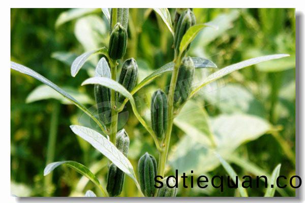 循環(huan)流(liu)化(hua)牀鍋鑪內(nei)有(you)傳(chuan)熱過程(cheng)有哪些？