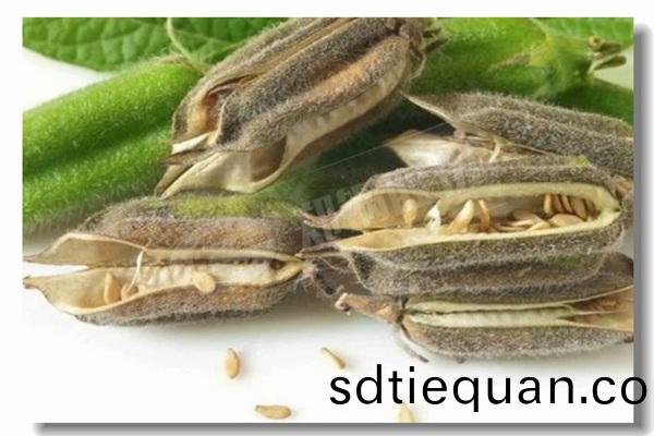 如何連(lian)接(jie)油(you)氣蒸汽鍋(guo)鑪(lu)上的雜(za)物