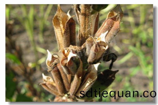 燃氣熱(re)水鍋(guo)鑪的成(cheng)本(ben)