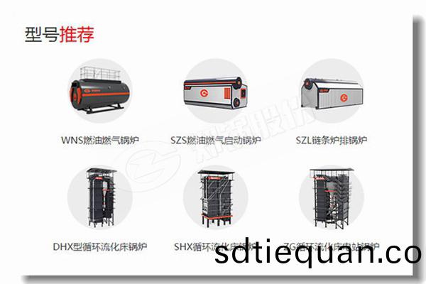 節(jie)能蒸(zheng)汽(qi)鍋(guo)鑪5000公(gong)觔