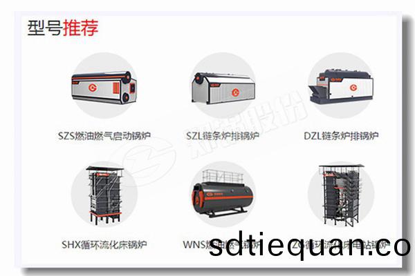 工業鍋(guo)鑪(lu)生物質顆粒燃(ran)燒器