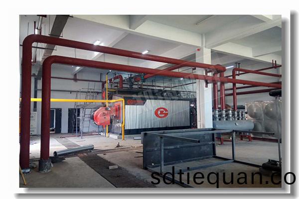 橄欖(lan)渣鍋(guo)鑪蒸(zheng)汽鍋(guo)鑪25噸(dun)