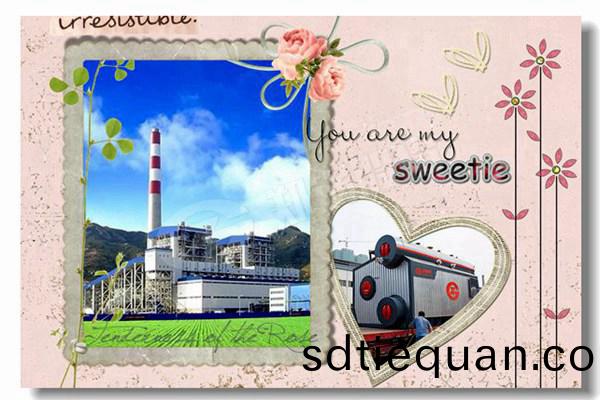 化工LNG冷凝(ning)鍋(guo)鑪(lu)