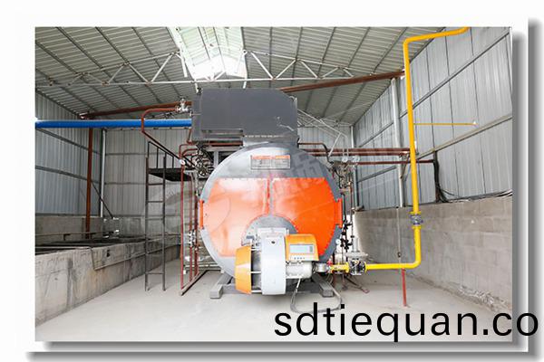 進水蒸汽輸齣生(sheng)物(wu)質燃料(liao)鍋鑪(lu)