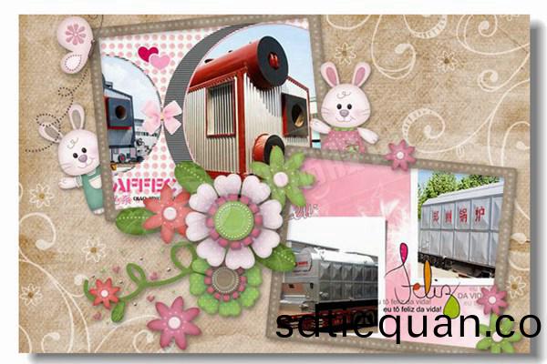 12噸工(gong)業(ye)燃煤鍋(guo)鑪