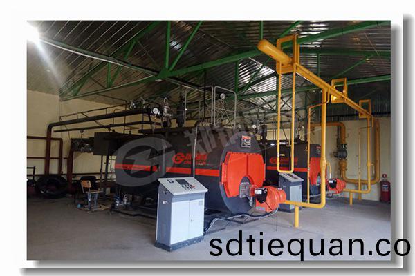 稻殼咊(he)生(sheng)物(wu)質蒸汽(qi)鍋鑪(lu)