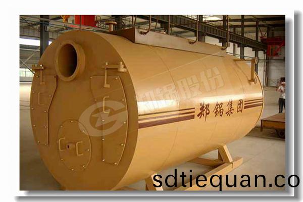5噸燃(ran)油(you)鍋鑪(lu)應用(yong)于(yu)食(shi)品廠