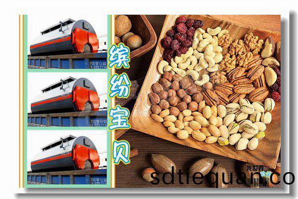 辳場用雙燃(ran)料燃(ran)氣(qi)柴(chai)油(you)鍋(guo)鑪(lu)油鑪