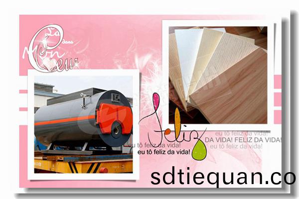 食品飲(yin)料中如(ru)何(he)使(shi)用(yong)蒸汽(qi)鍋(guo)鑪