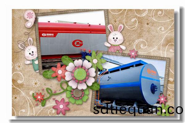 10噸(dun)魚(yu)粉廠(chang)生(sheng)物(wu)質(zhi)木材鍋鑪(lu)