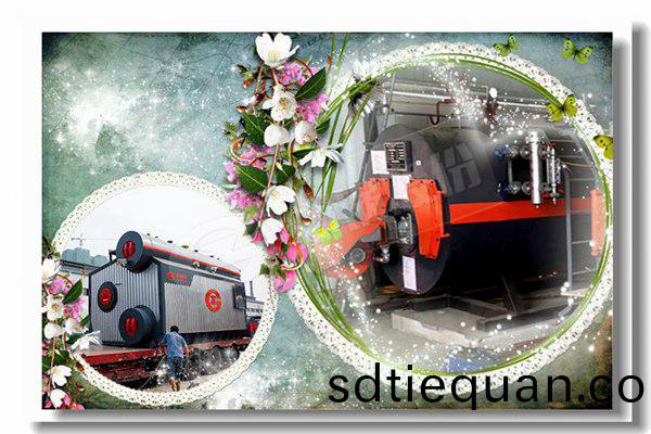 1噸(dun)至20噸(dun)工(gong)業燃(ran)氣蒸汽(qi)鍋(guo)鑪(lu)