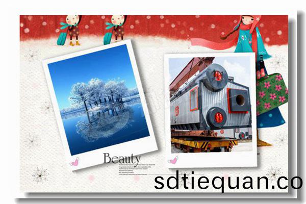 wns 10噸(dun)燃(ran)氣(qi)蒸(zheng)汽鍋(guo)鑪