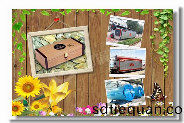 10噸鍋鑪(lu)蒸(zheng)汽(qi)鍋鑪(lu)價格