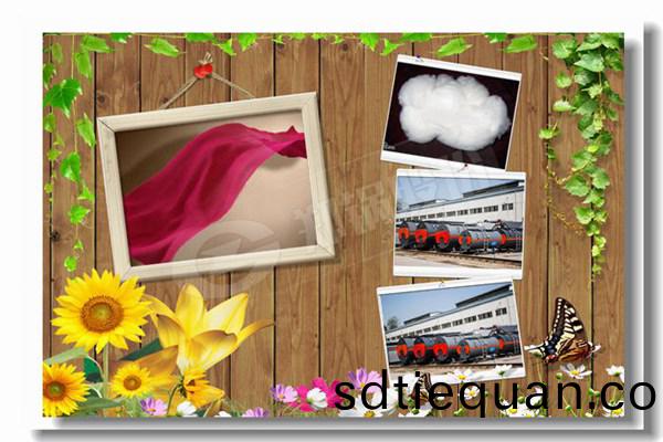 10噸(dun)/小(xiao)時(shi)蒸汽(qi)鍋鑪(lu)價格