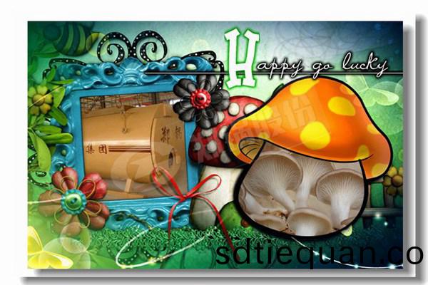 dzl 1型(xing)10噸煤(mei)蒸(zheng)汽鍋(guo)鑪