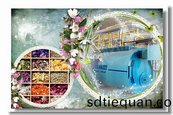 2噸容(rong)量臥式(shi)燃油蒸(zheng)汽(qi)鍋鑪(lu)