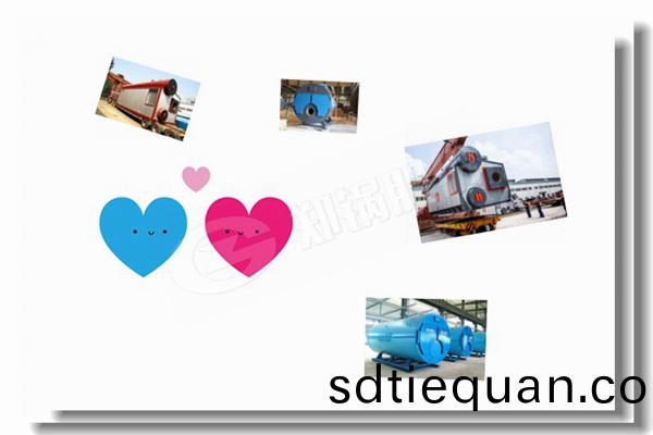 鏈(lian)條鑪(lu)排15噸燃煤蒸(zheng)汽(qi)鍋(guo)鑪(lu)