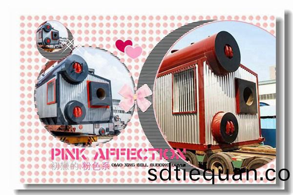 燃(ran)煤蒸(zheng)汽(qi)鍋(guo)鑪停(ting)鑪有(you)哪(na)些(xie)註(zhu)意事項(xiang)？