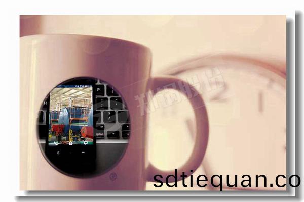 14噸容量(liang)的燃油蒸(zheng)汽(qi)鍋(guo)鑪