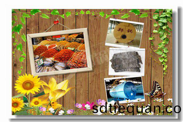 服(fu)裝(zhuang)廠3噸(dun)燃煤鍋鑪